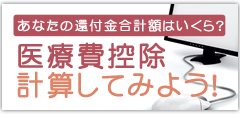 医療費控除を計算してみよう！